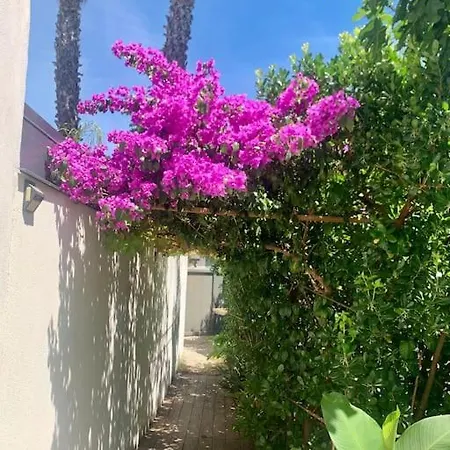 Entre Nature Et Villa Lattes